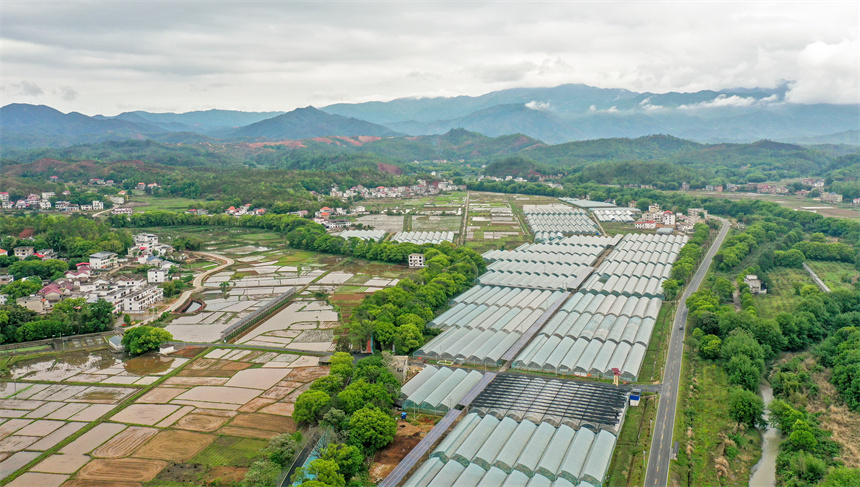 航拍兴国县杰村乡含田村。温举民摄