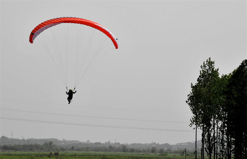 滑翔伞从山巅起飞助力登山赏花节。 人民网 时雨摄