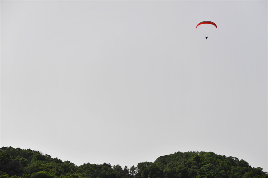 滑翔伞从山巅起飞助力登山赏花节。 人民网 时雨摄