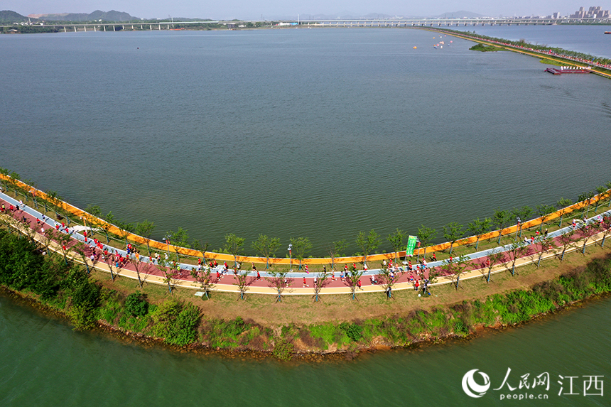 2023“廬山杯”九江馬拉鬆在江西省九江市八裡湖新區鳴槍開跑。圖為跑友們在環賽城湖的綠道上奔跑。 人民網 時雨攝