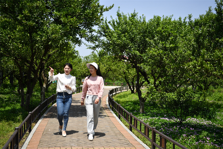 游客们在南丰县国礼园里赏景闻花香，享受着独特的春日时光。 人民网 时雨摄