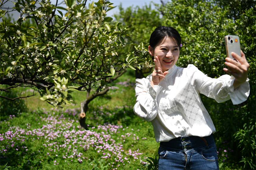 游客們在南豐縣國禮園裡賞景聞花香，享受著獨特的春日時光。 人民網 時雨攝