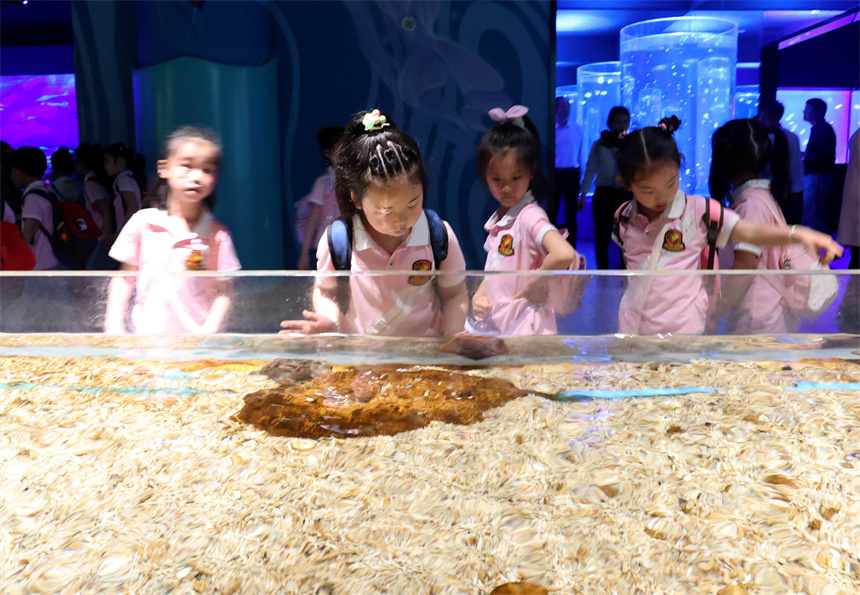 小朋友們正在觀賞各種水生生物。鄭飛華攝