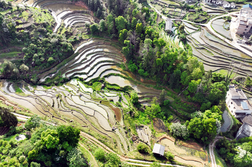 层层梯田阡陌纵横，美如画卷。李建平摄