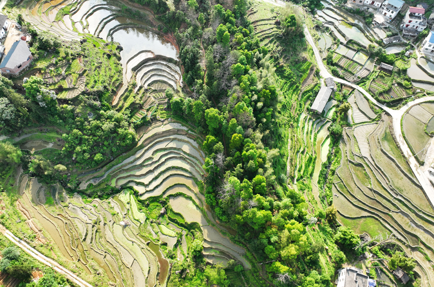 层层梯田阡陌纵横，美如画卷。李建平摄