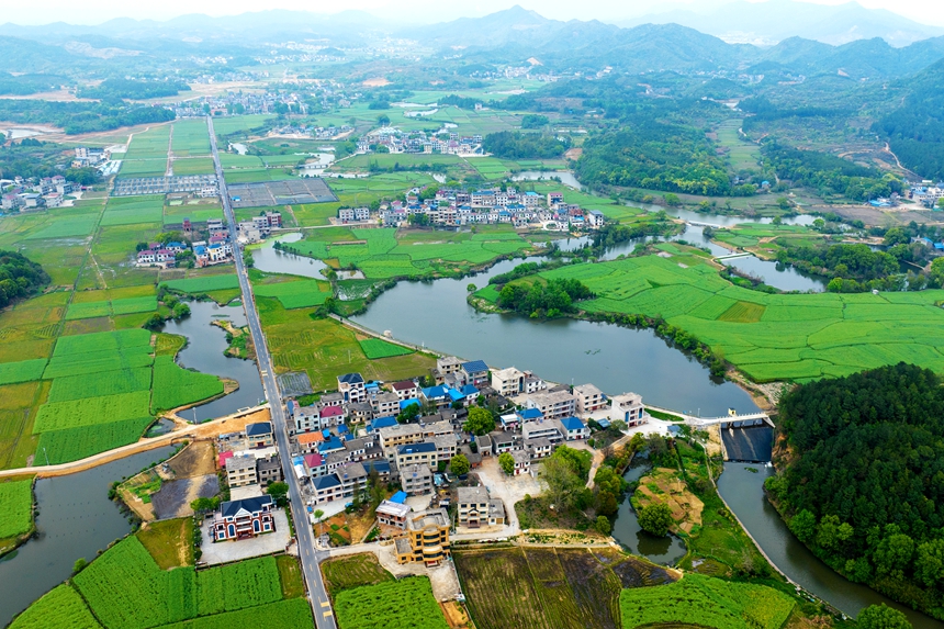 航拍下的江西省共青城市澤泉鄉花園村一派生態秀美的山村畫卷。況建攝