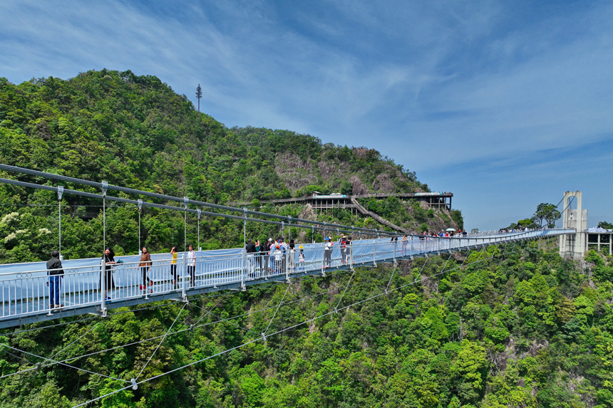 游客行走在玻璃橋上觀賞漫山綠色生態美景。朱海鵬攝