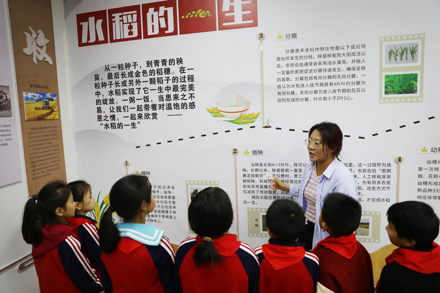 孩子們在上高水稻科技小院聽省農科院的老師講解稻子成長的過程。陳旗海攝