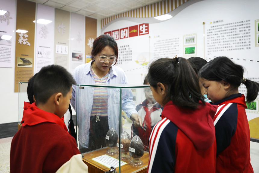 孩子們在上高水稻科技小院聽省農科院的老師講解稻子成長的過程。陳旗海攝