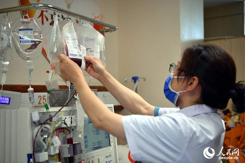 醫護人員正在密切關注造血干細胞的採集情況。 人民網記者 時雨攝