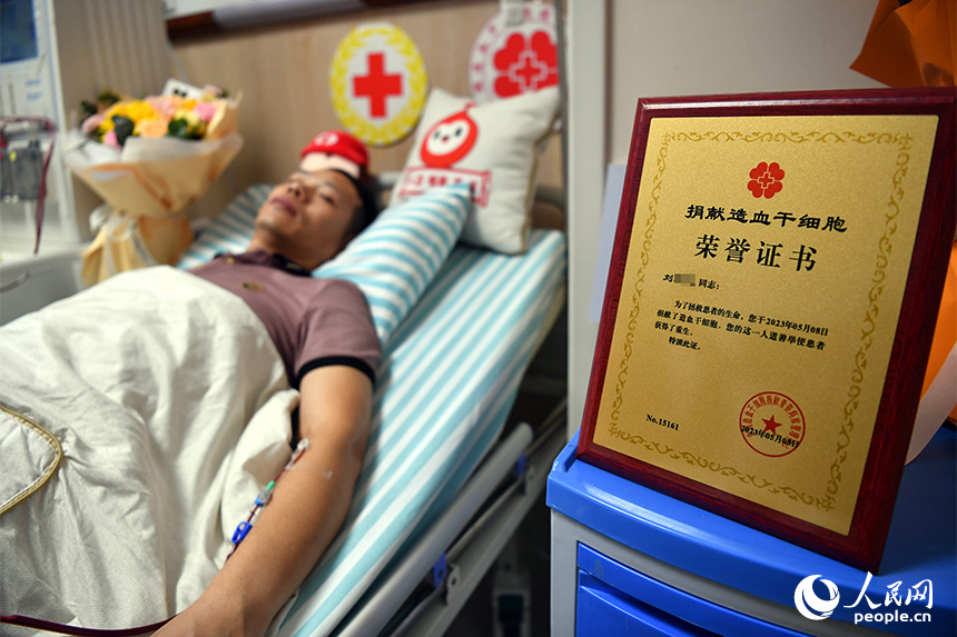 劉某正躺在採集床上捐獻造血干細胞，一旁放著捐獻造血干細胞榮譽証書。 人民網記者 時雨攝