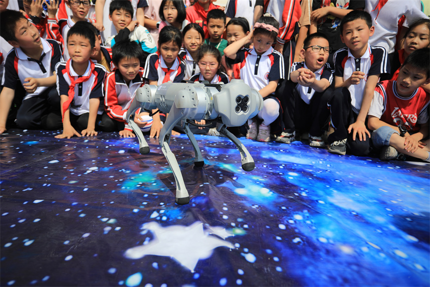 近日，在江西省抚州市乐安县第三小学操场上，学生们正在观看机械狗表演。邱志超摄