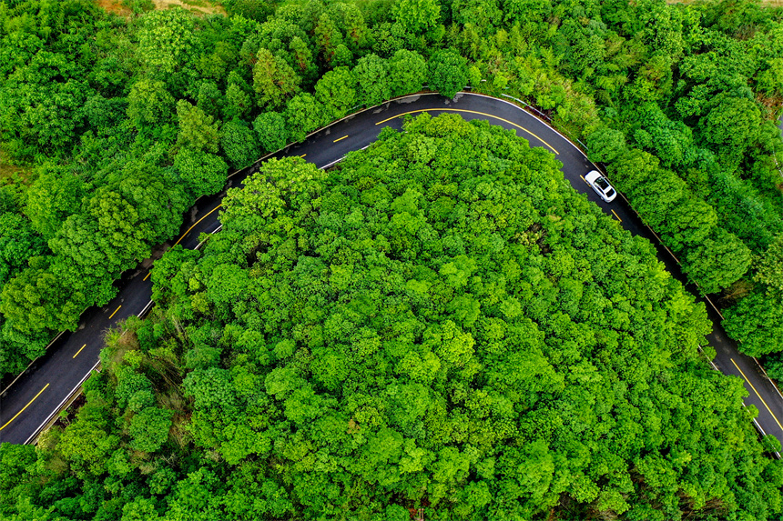 通村公路穿越林間，構成一幅壯美的生態交通畫卷。