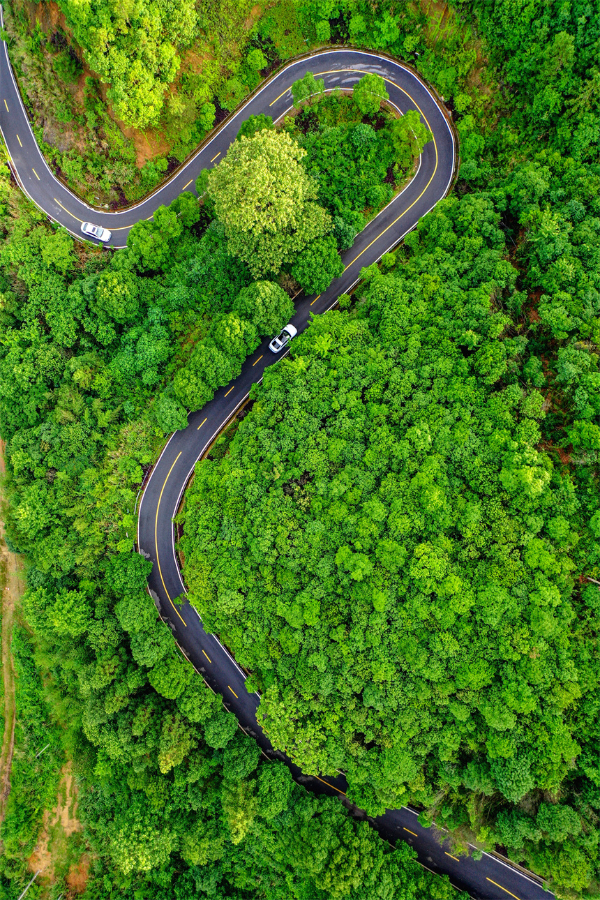 通村公路穿越林间，构成一幅壮美的生态交通画卷。