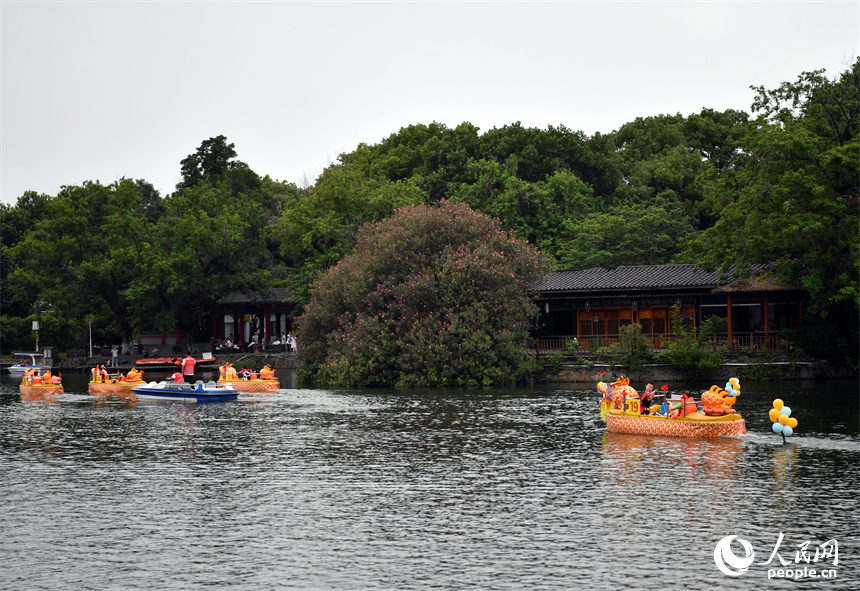南昌市東湖區百花洲東湖正在舉行親子龍舟賽。 人民網記者 時雨攝