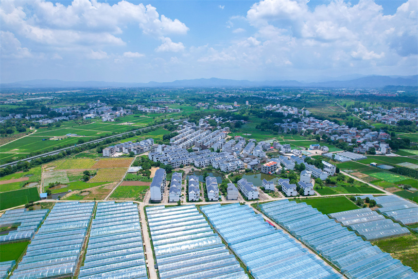 航拍葉坪鎮山歧村美麗鄉村景色。楊鑫攝