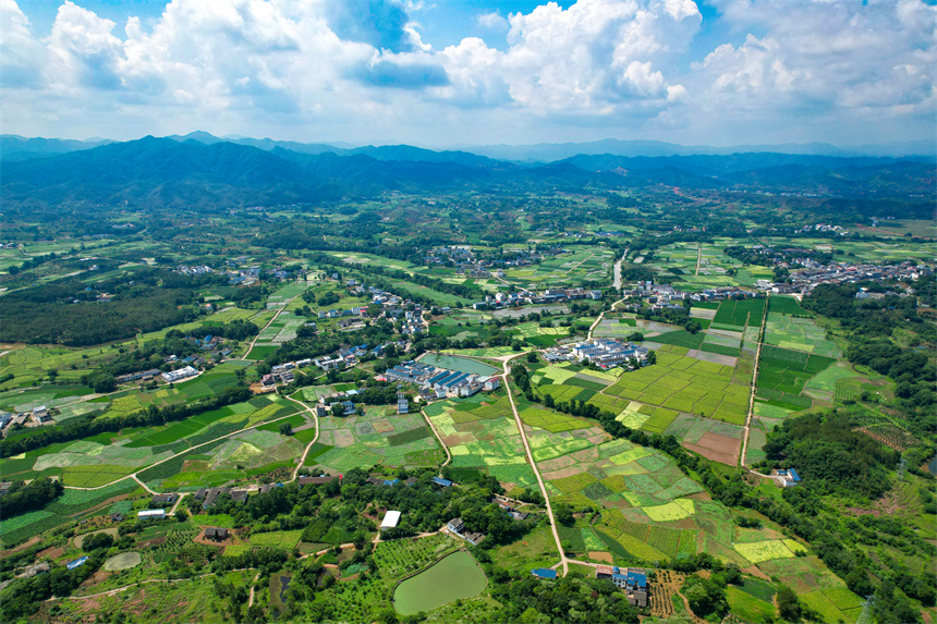 航拍叶坪镇山歧村美丽乡村景色。杨鑫摄