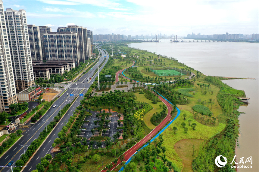 南昌市红谷滩区，赣江沿岸的市民公园绿意盎然。人民网记者 时雨摄