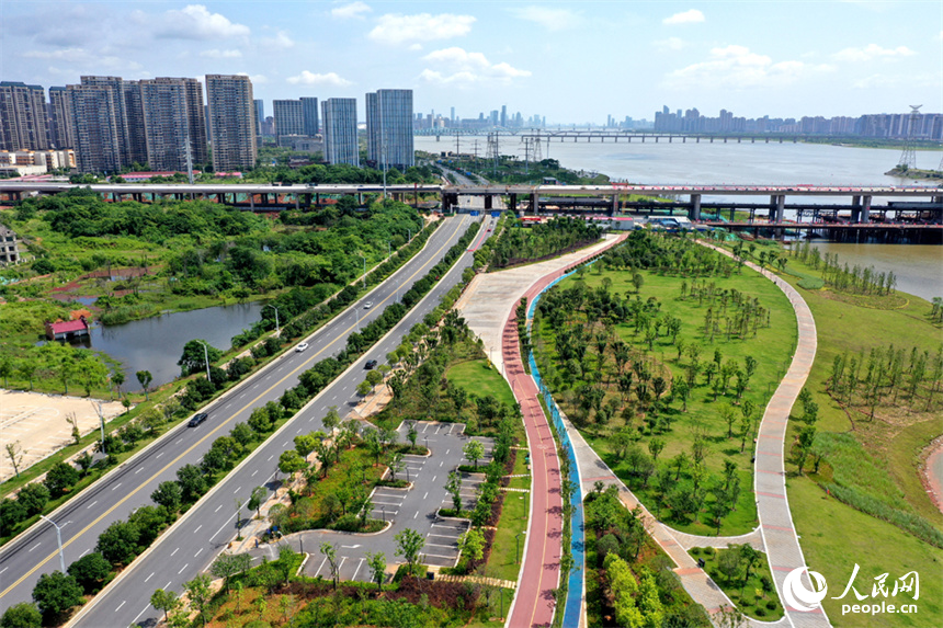 南昌市红谷滩区，赣江沿岸的市民公园绿意盎然。人民网记者 时雨摄