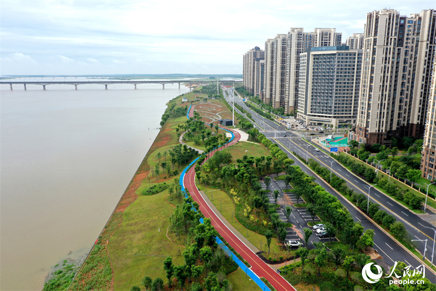 南昌市红谷滩区，赣江沿岸的市民公园绿意盎然。人民网记者 时雨摄