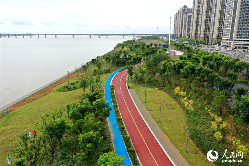 南昌市红谷滩区，赣江沿岸的市民公园绿意盎然。人民网记者 时雨摄