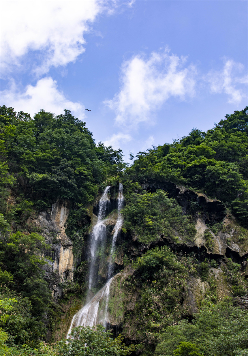 盛夏時節，湖口縣付垅鄉東澗茶場山間滴水崖瀑布景致如畫。李學華攝