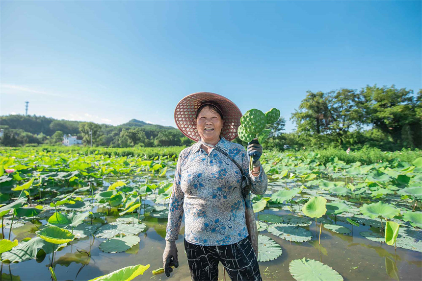 农户丰收的喜悦。张元兵摄