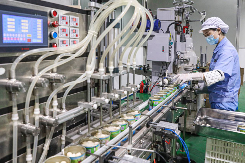 南丰县一家预制菜加工企业生产车间内，工人们正在流水线上加工甲鱼蛋制品。李煜祖摄