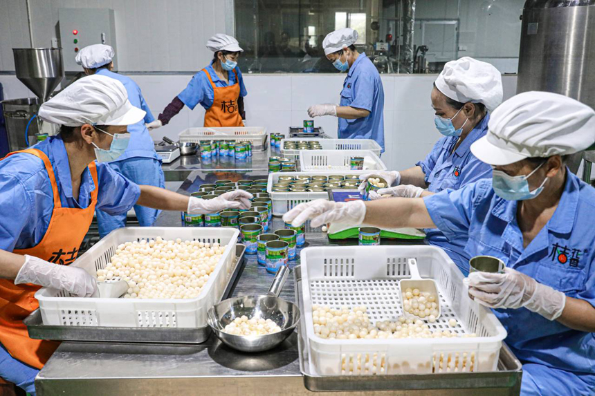 南丰县一家预制菜加工企业生产车间内，工人们正在流水线上加工甲鱼蛋制品。李煜祖摄