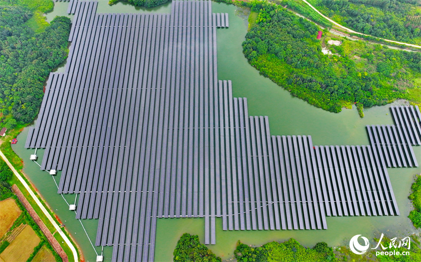 整齊排列的光伏發電板矗立在水面上，實現養魚、發電兩不誤。人民網 朱海鵬攝