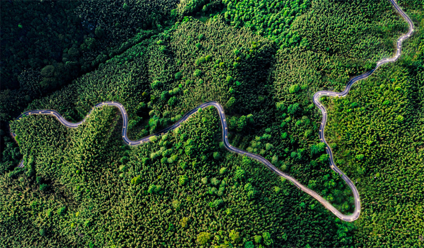 公路穿山而过。童志荣摄