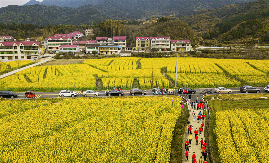 路好景美引客来。吴志贵摄