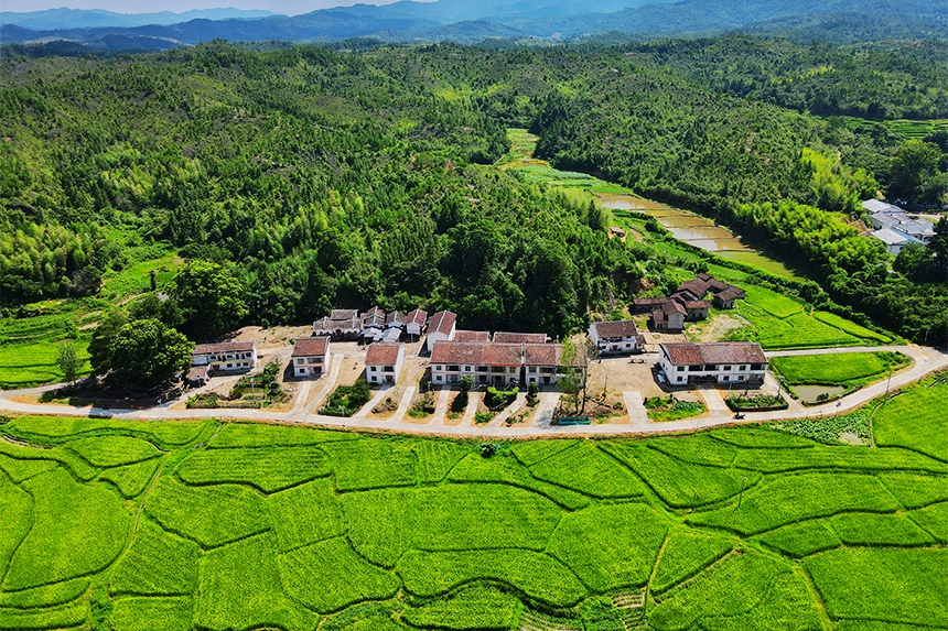 航拍江西省抚州市广昌县长桥乡的广袤田园美景如画。何俊摄