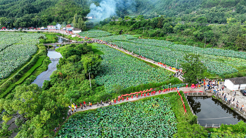 庙会游行庆典活动现场。曾恒贵摄