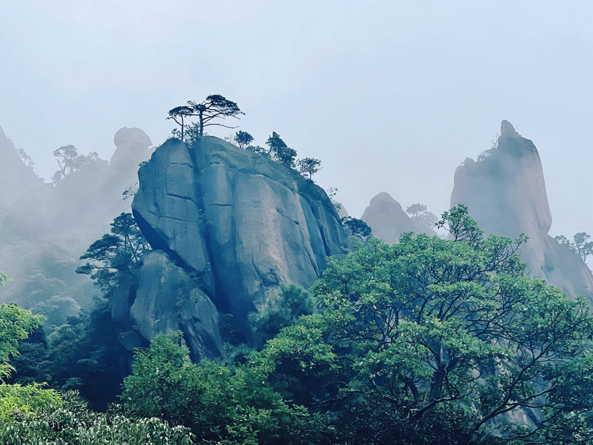 江西三清山美景。石林摄