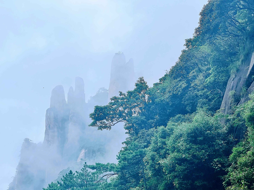 江西三清山美景。石林摄