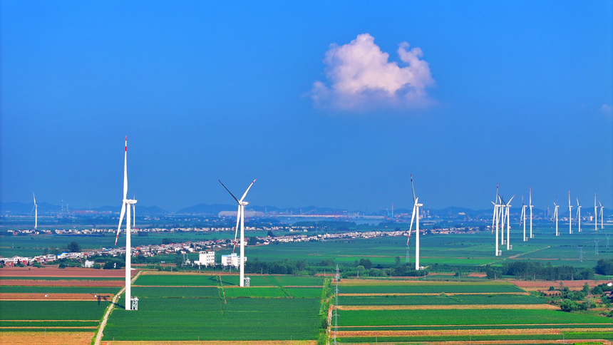 九江市柴桑區江洲風電場，48台風力發電機組迎風旋轉。人民網 朱海鵬攝