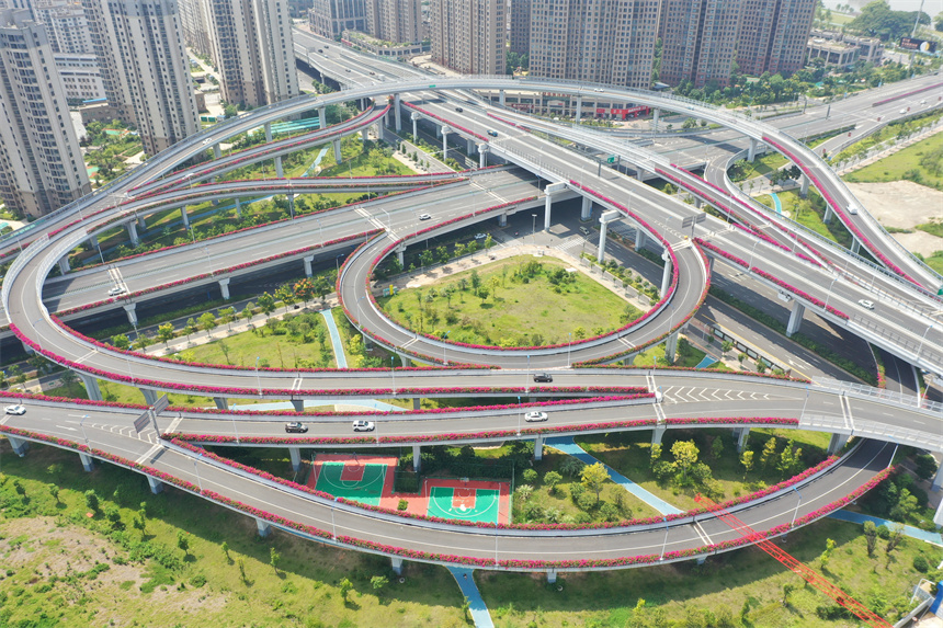 在赣州市赣南大道快速路新世纪立交桥段，道路两旁的三角梅竞相绽放、姹紫嫣红。钟万汕摄