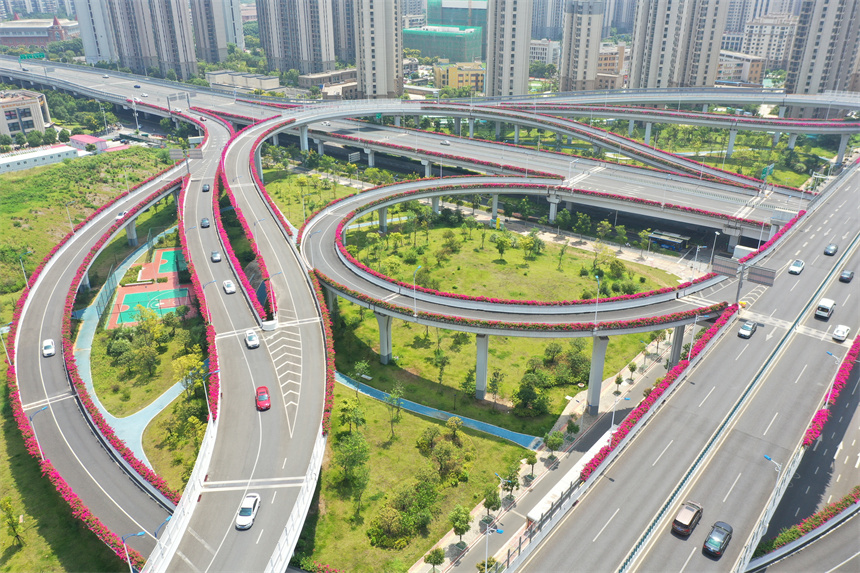 在赣州市赣南大道快速路新世纪立交桥段，道路两旁的三角梅竞相绽放、姹紫嫣红。钟万汕摄