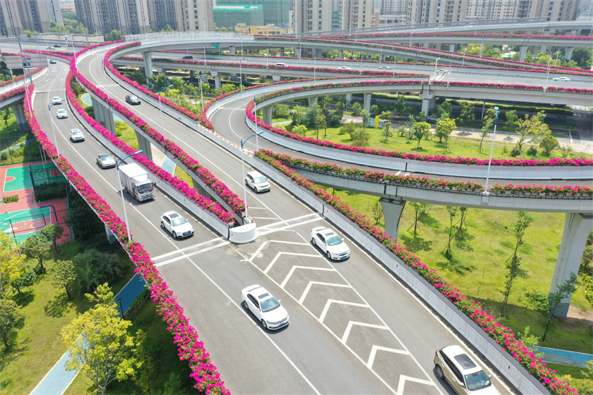 道路两旁的三角梅把车道装点成一条条“花廊”。钟万汕摄