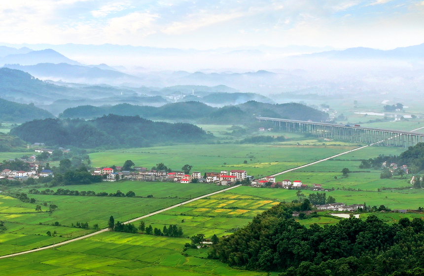 航拍镜头下，由绿转黄的高山生态稻田与山峦、民居相映成景，宛如画卷。何贱来摄