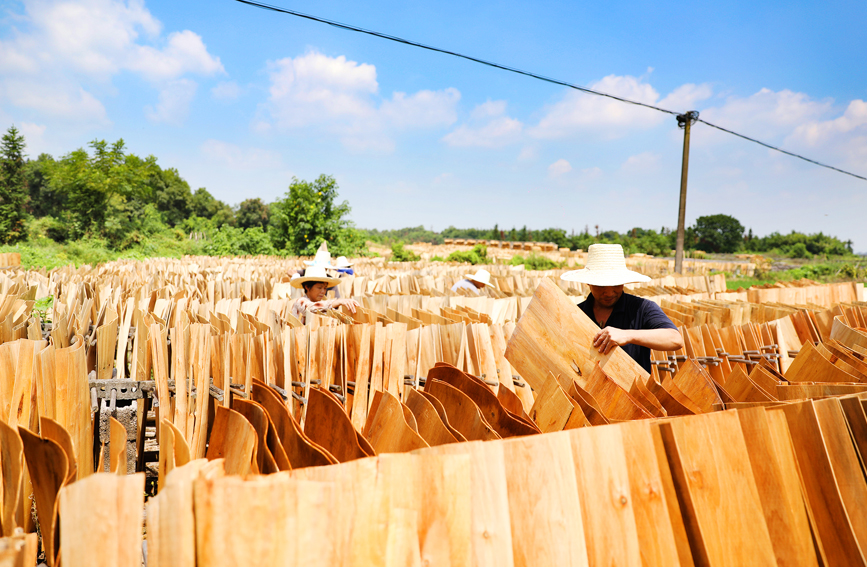 上高县锦江镇钟家渡村老钱木业有限公司晒场，员工正在翻晒木板。陈旗海摄