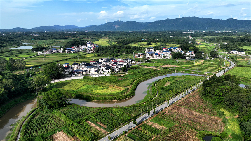 航拍湖口县均桥镇文桥水流域。郑飞华摄