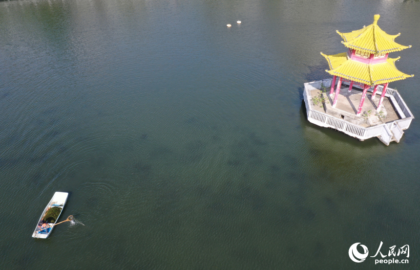 南昌市东湖区百花洲的东湖水面上，环卫工人驾船清理水面垃圾。 人民网记者 时雨摄