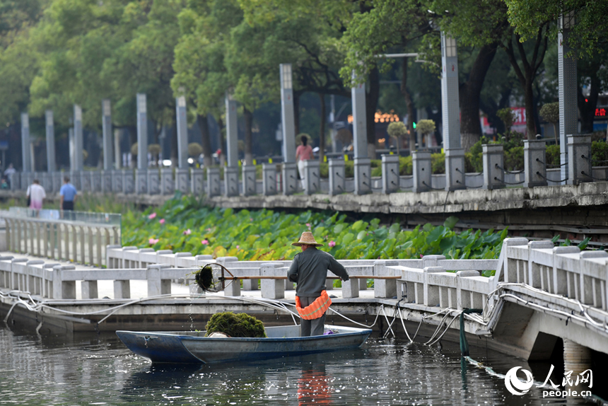 南昌市东湖区百花洲的东湖水面上，环卫工人驾船清理水面垃圾。 人民网记者 时雨摄
