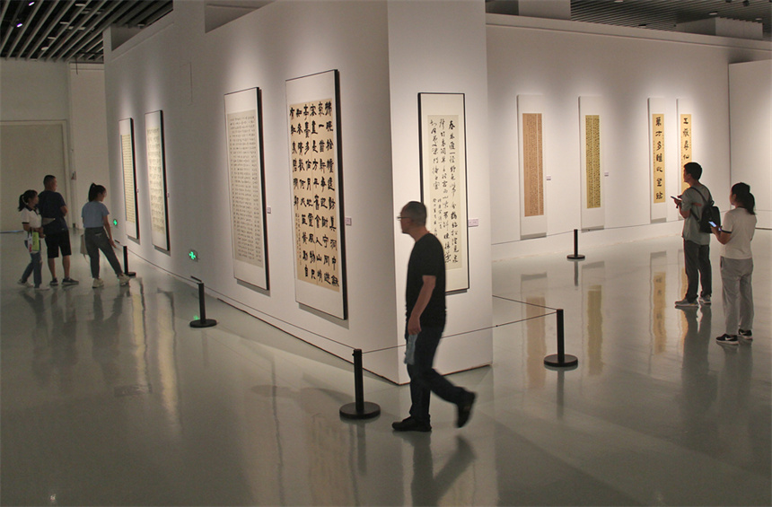 江西省举行教育美术书法作品展，图为市民观看书法作品。 蔡骁摄