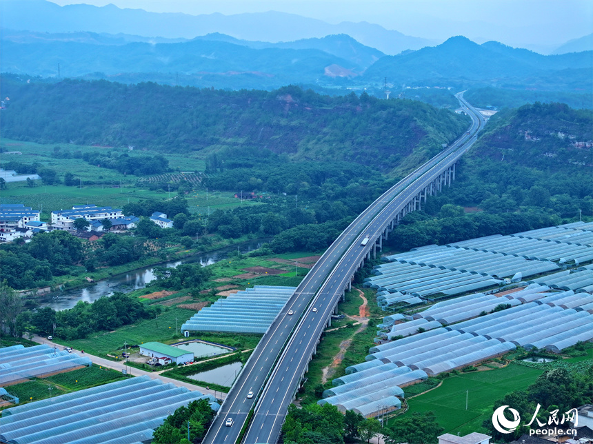 近日，江西省瑞金市葉坪鎮雲集村，高速公路沿線蔬菜大棚鱗次櫛比。人民網 朱海鵬攝