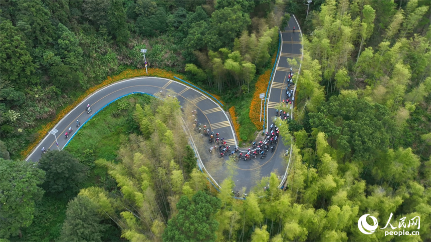 江西環鄱賽南昌站開賽，選手們在梅嶺騎行競速。 人民網記者 時雨攝