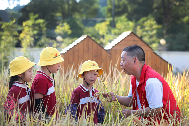 孩子們在聆聽上高縣農業農村局志願者講解水稻的相關知識。陳旗海攝