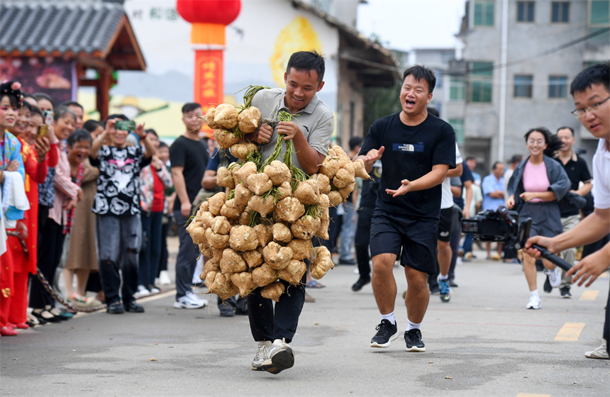 農民在上高縣田心鎮農民趣味運動會上進行運涼薯比賽。周亮攝
